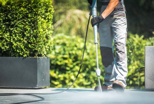 Best Dumpster Area Cleaning  in Belle Mead, NJ